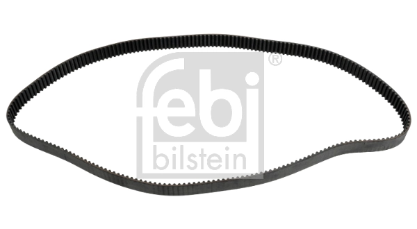 Timing Belt